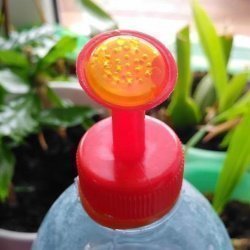 7 лучших лайфхаков с пустыми пластиковыми бутылками: полезно и просто