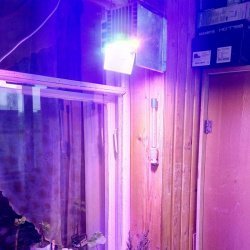 Как использовать светодиодные фитосветильники для растений?