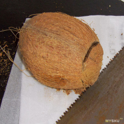 Поделки из кокоса: 7 лучших идей