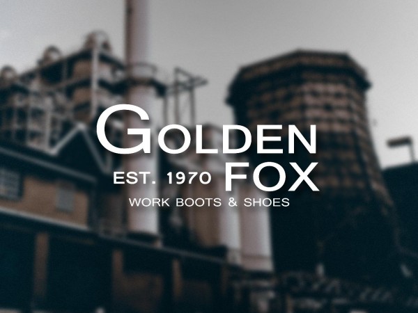 Golden Fox USA 2016 Media Kit-page-001